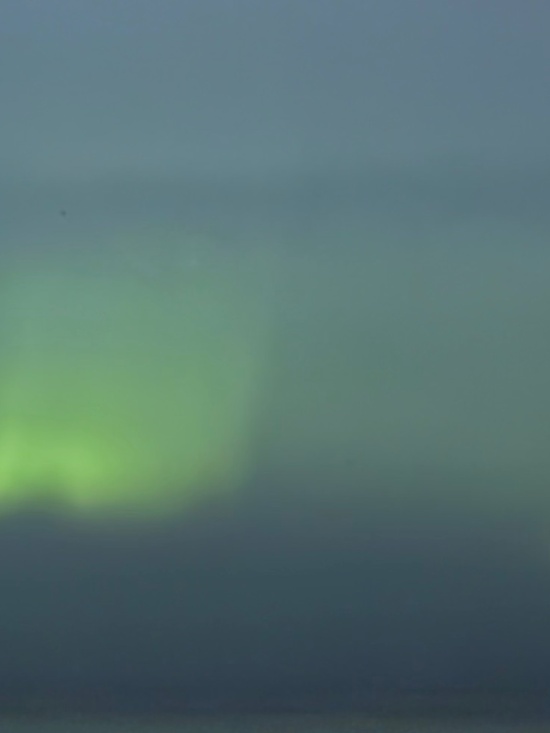 Meet your Posher, Bri - Picture 1 of 1